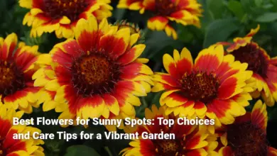 Best Flowers for Sunny Spots: Top Choices and Care Tips for a Vibrant Garden