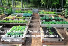 Raised Bed Gardening Techniques: A Complete Guide to Building and Maintaining a Thriving Garden