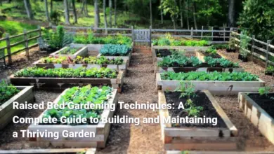 Raised Bed Gardening Techniques: A Complete Guide to Building and Maintaining a Thriving Garden