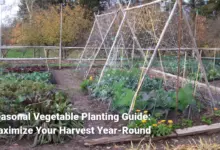 Seasonal Vegetable Planting Guide: Maximize Your Harvest Year-Round