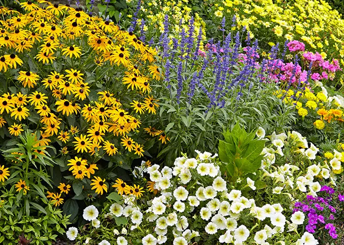 How to Design a Garden to Attract Pollinators | Garden Gate