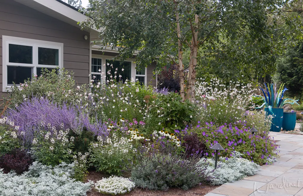 Best Drought Tolerant Perennials & Annuals – that are Deer ...