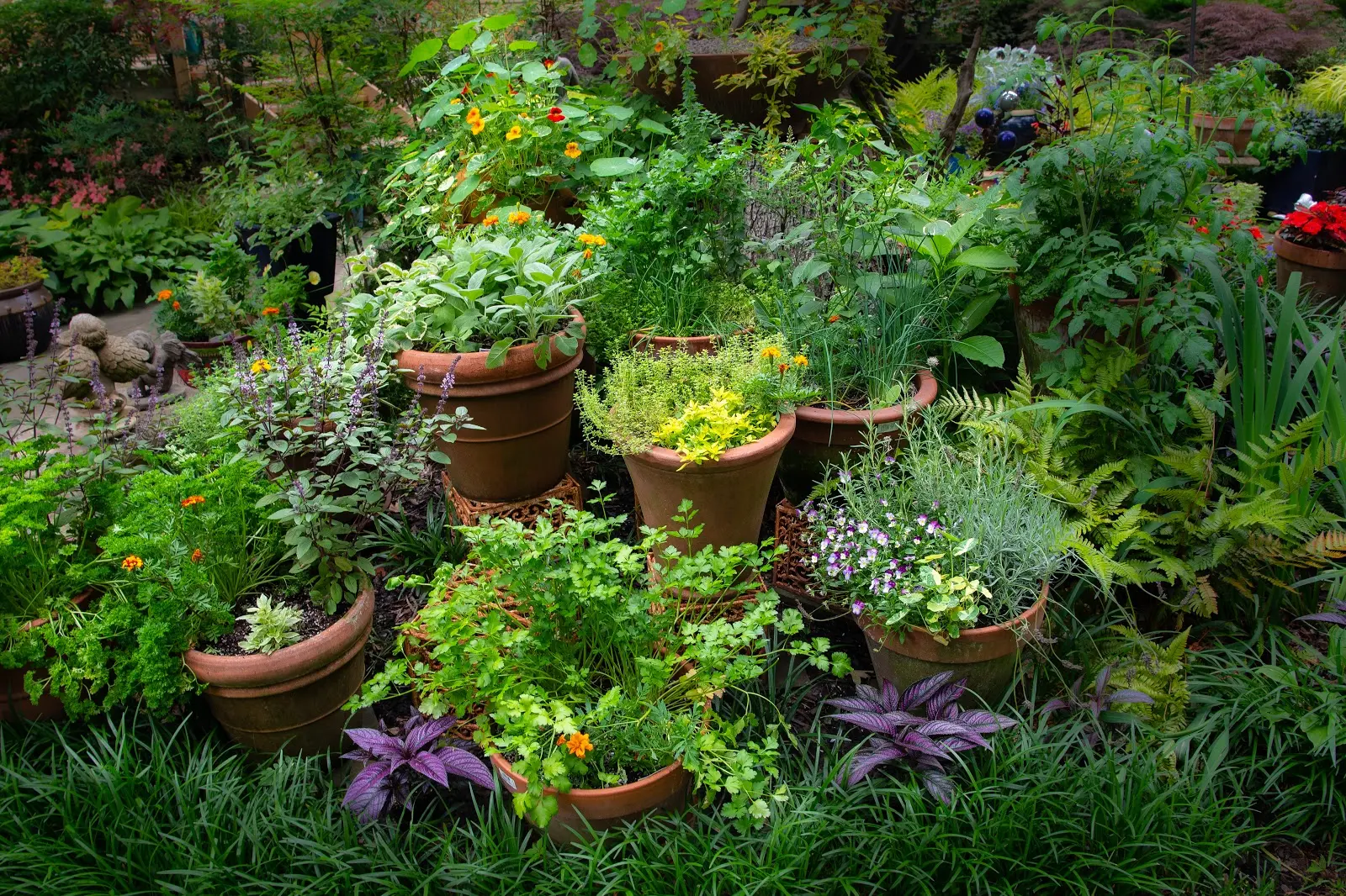 Creating Herb Gardens with Containers – Merrifield Garden Center