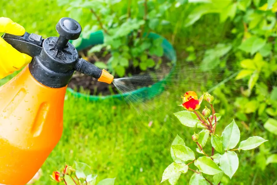 Organic Pest Control:How to Make Natural Pesticide