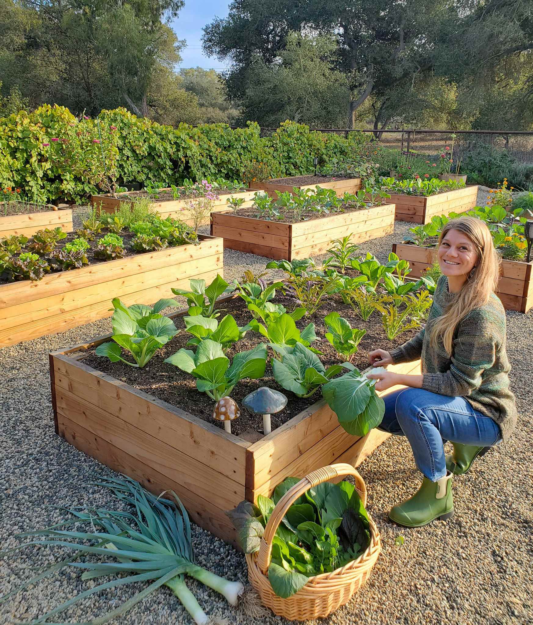 How to Build a Raised Garden Bed: Step-by-Step Guide ...