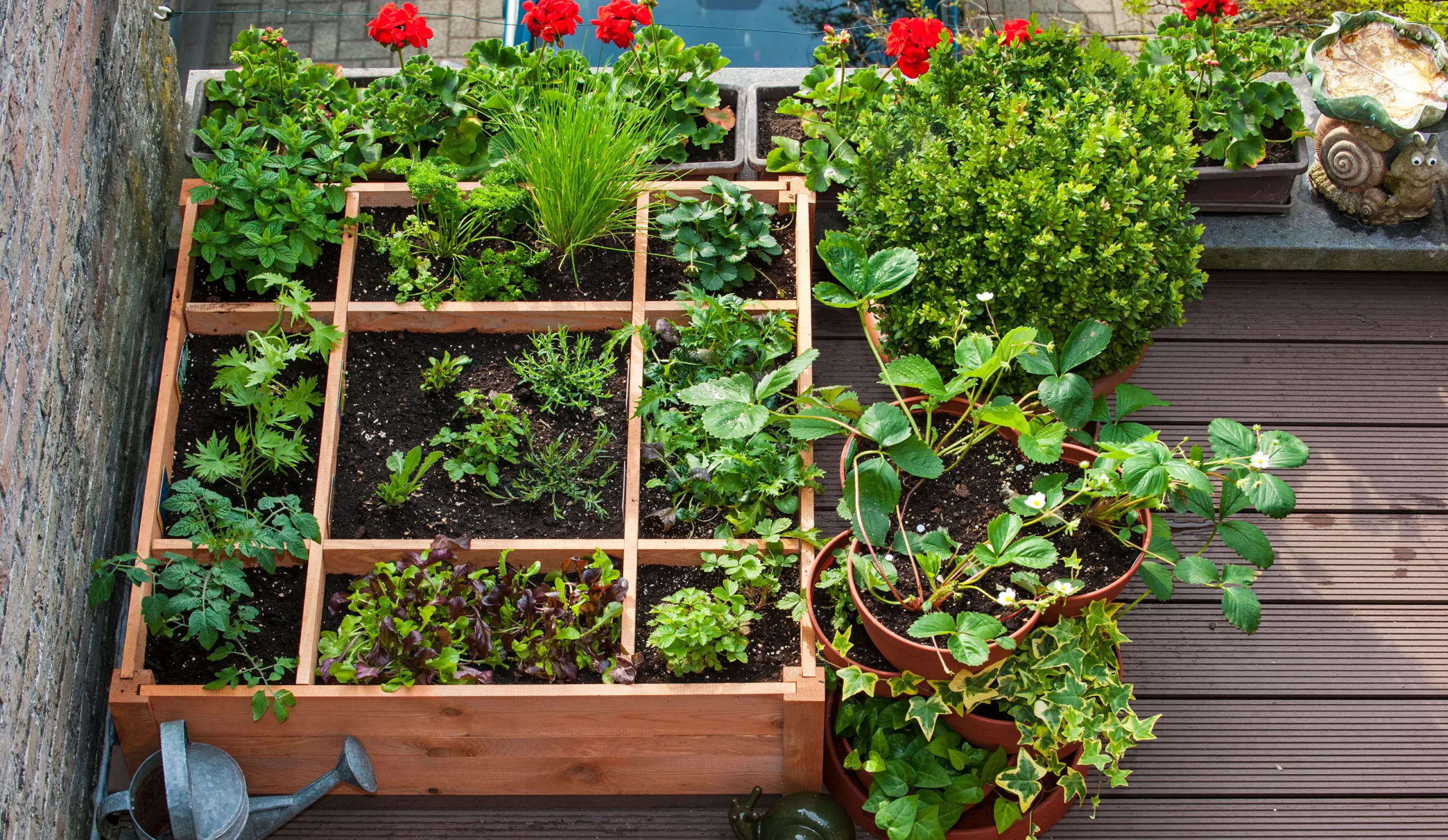 How to start a balcony garden – 9 tips for the small space ...