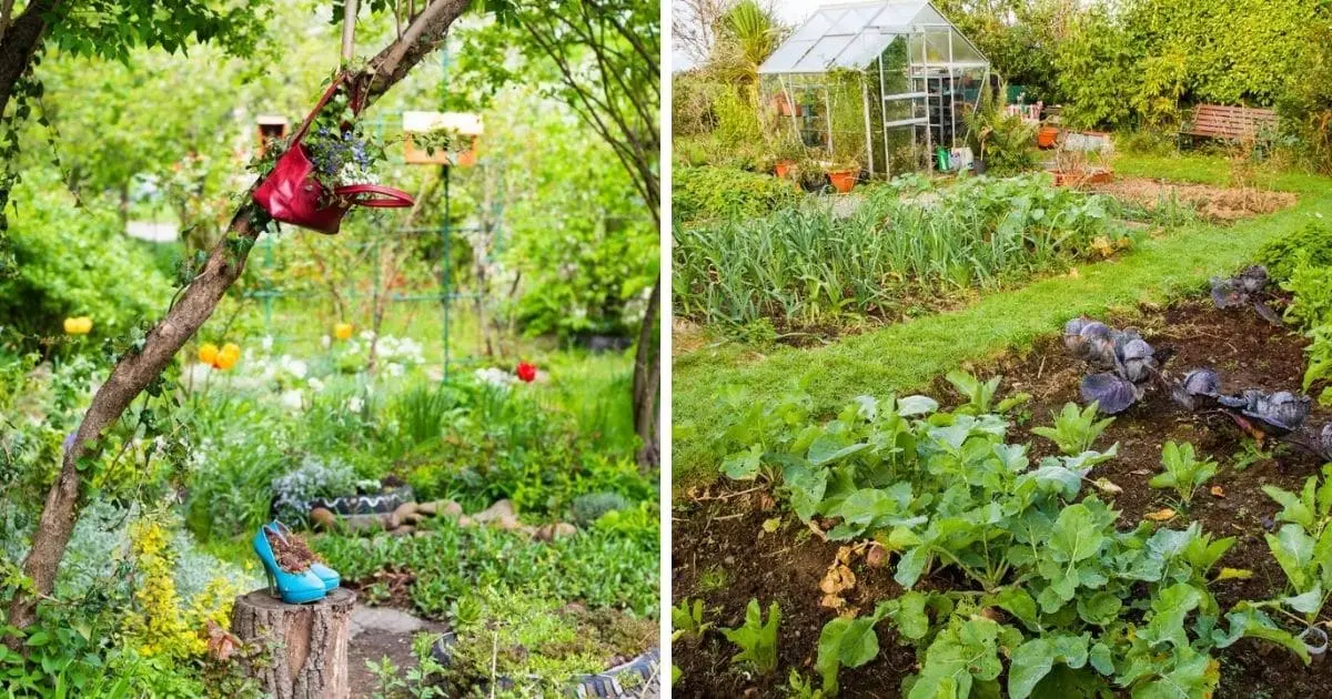 sustainable gardening practices for future generations benefits of organic