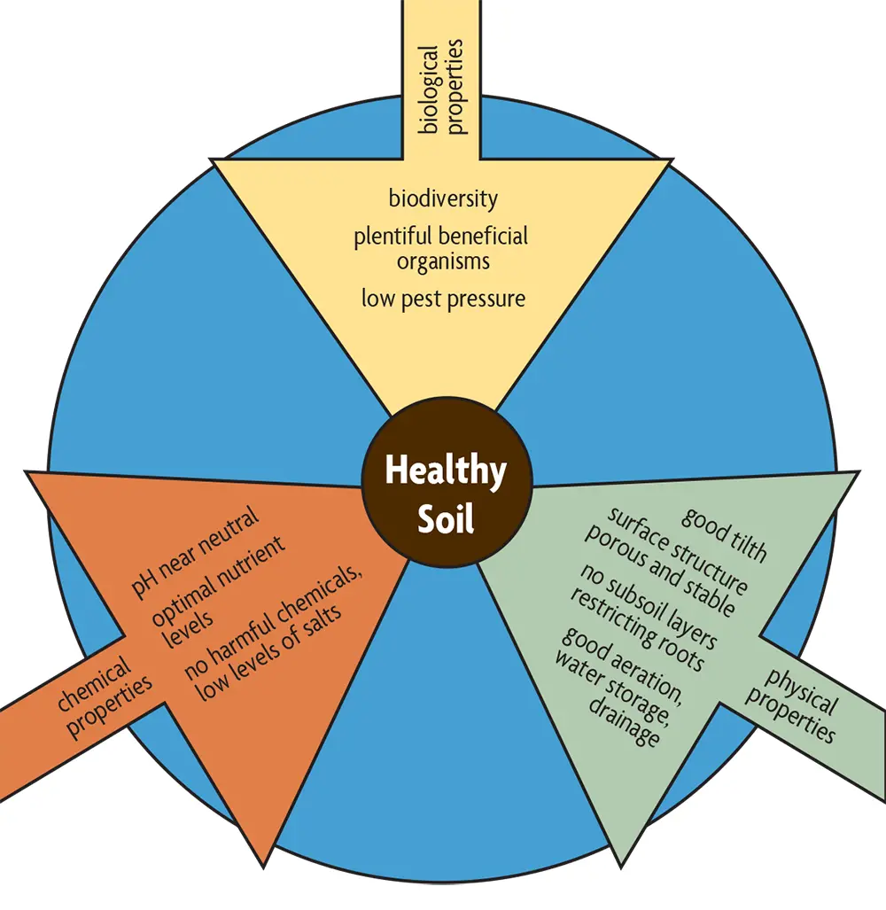 erosion control and soil health benefits of organic gardening