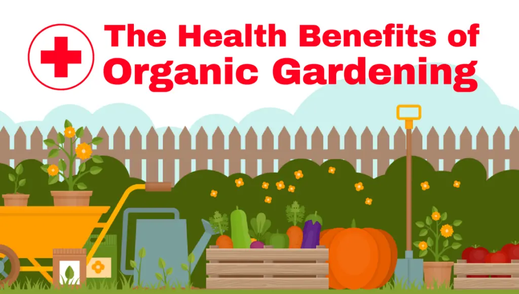 health benefits of organic gardening