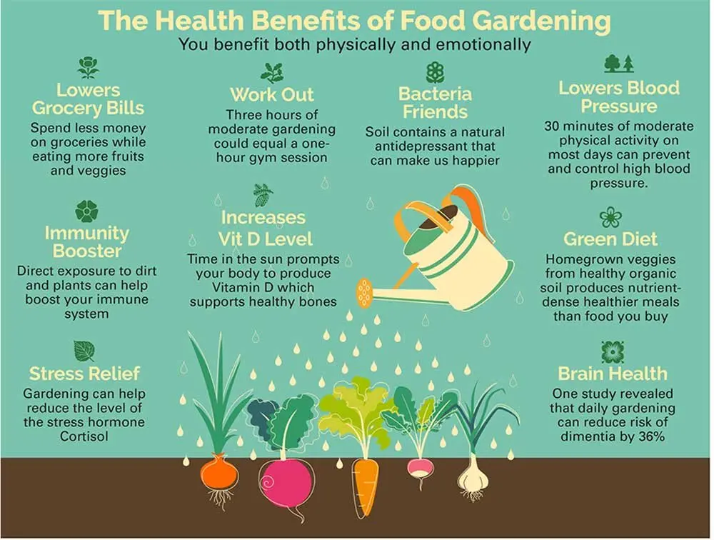 nutritional advantages of organic produce benefits gardening