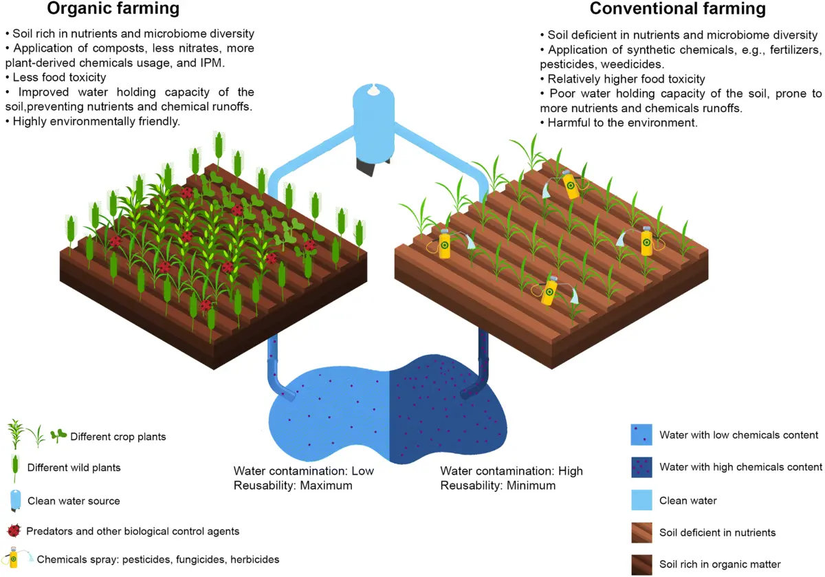 reduced exposure to harmful chemicals benefits of organic gardening