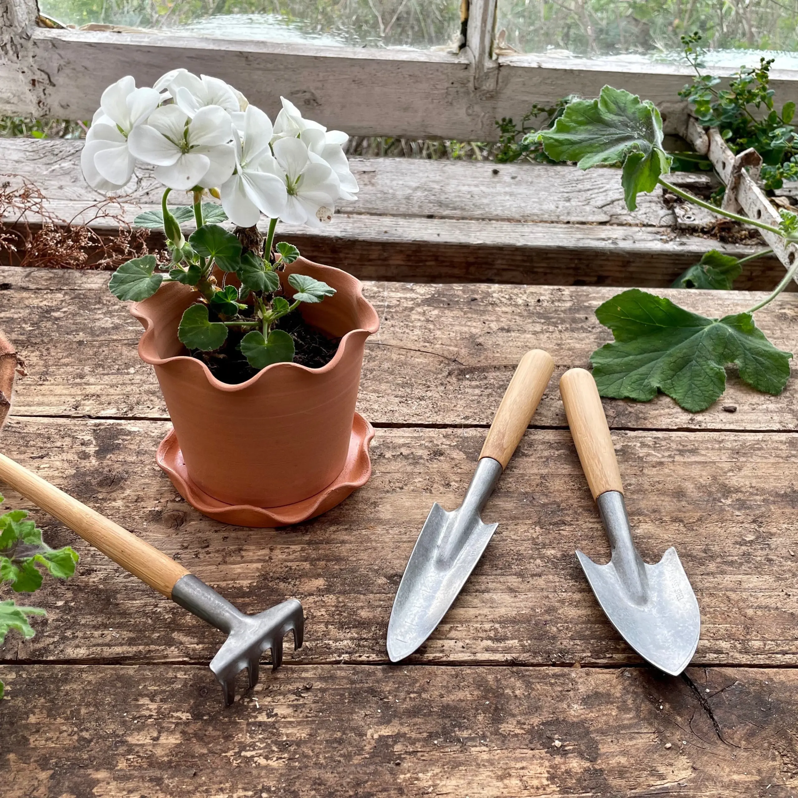 eco-friendly garden tools on a budget budget-friendly