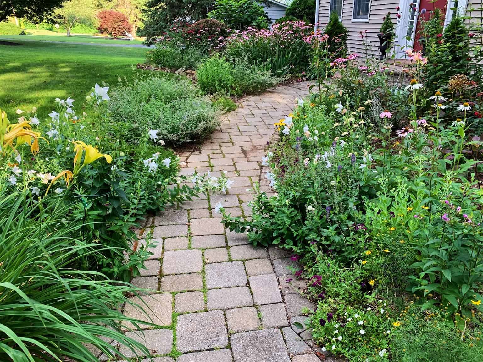 incorporating pathways and open spaces creating a butterfly garden