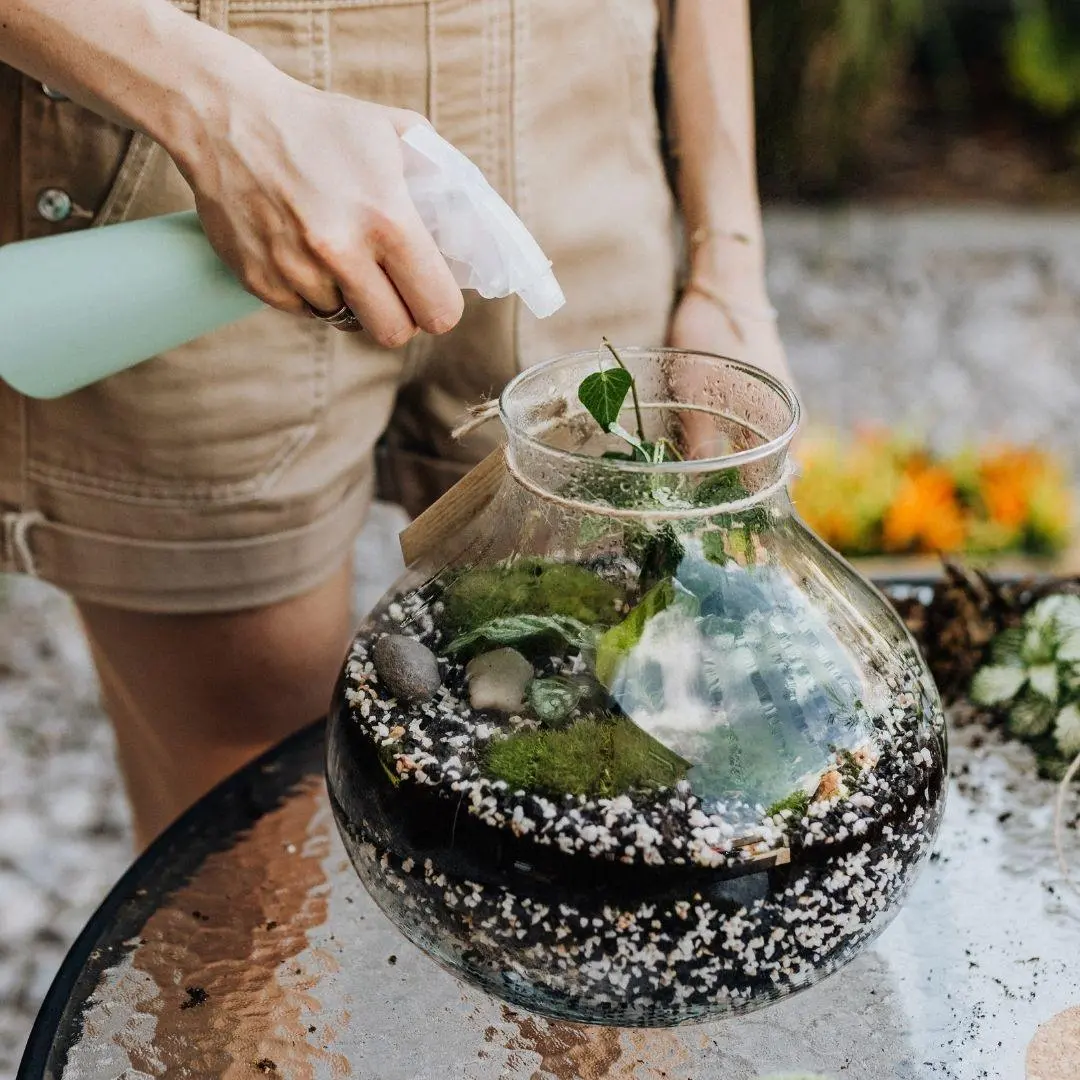 therapeutic effects of caring for a terrarium creating