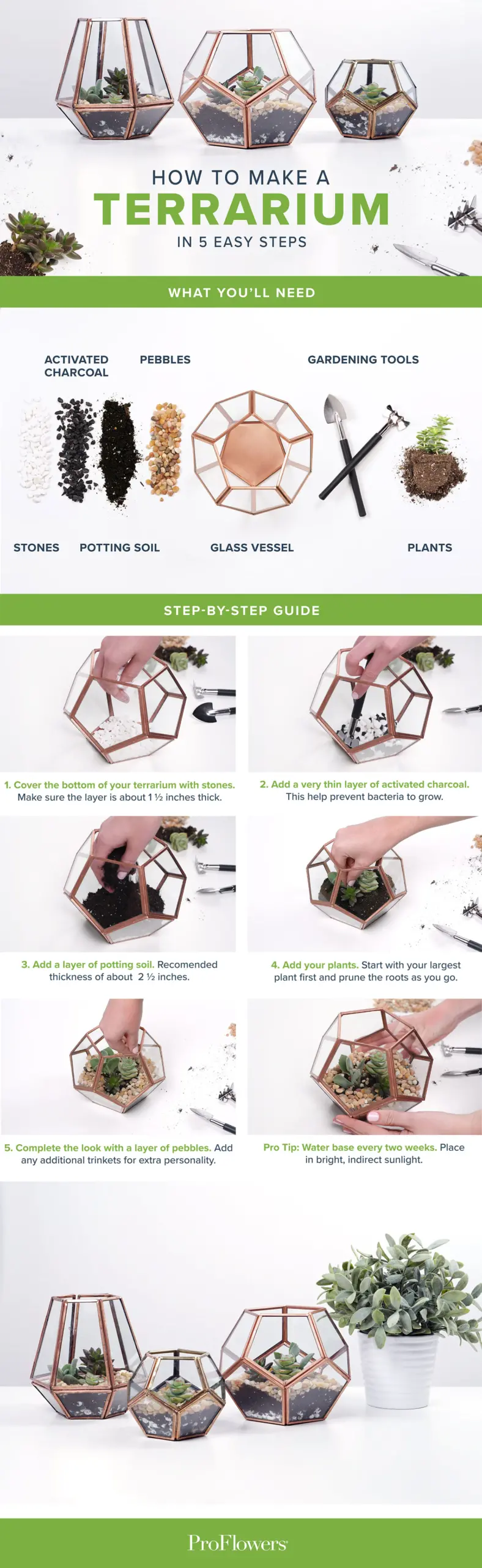 essential tools for building a terrarium creating