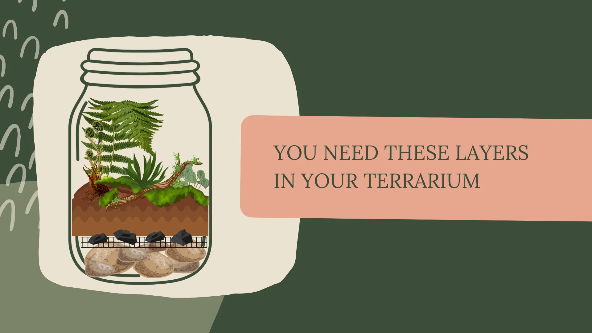 layering techniques for terrarium soil creating a