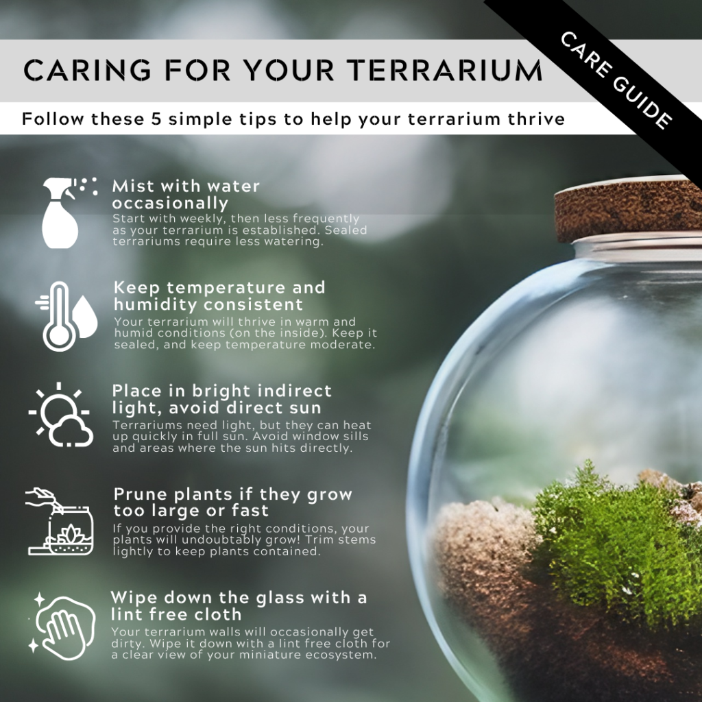 tips for watering and maintaining terrarium plants creating a