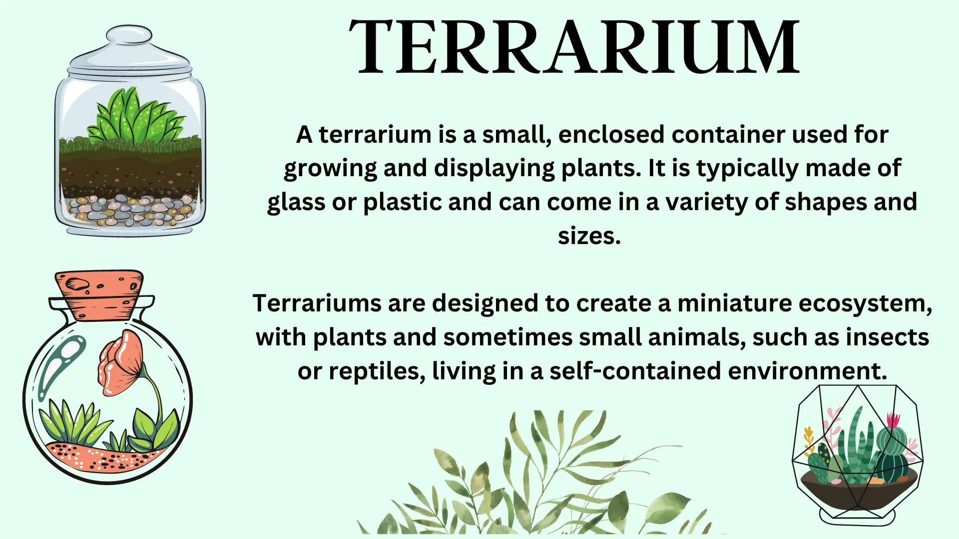 what are the benefits of having a terrarium? creating terrarium