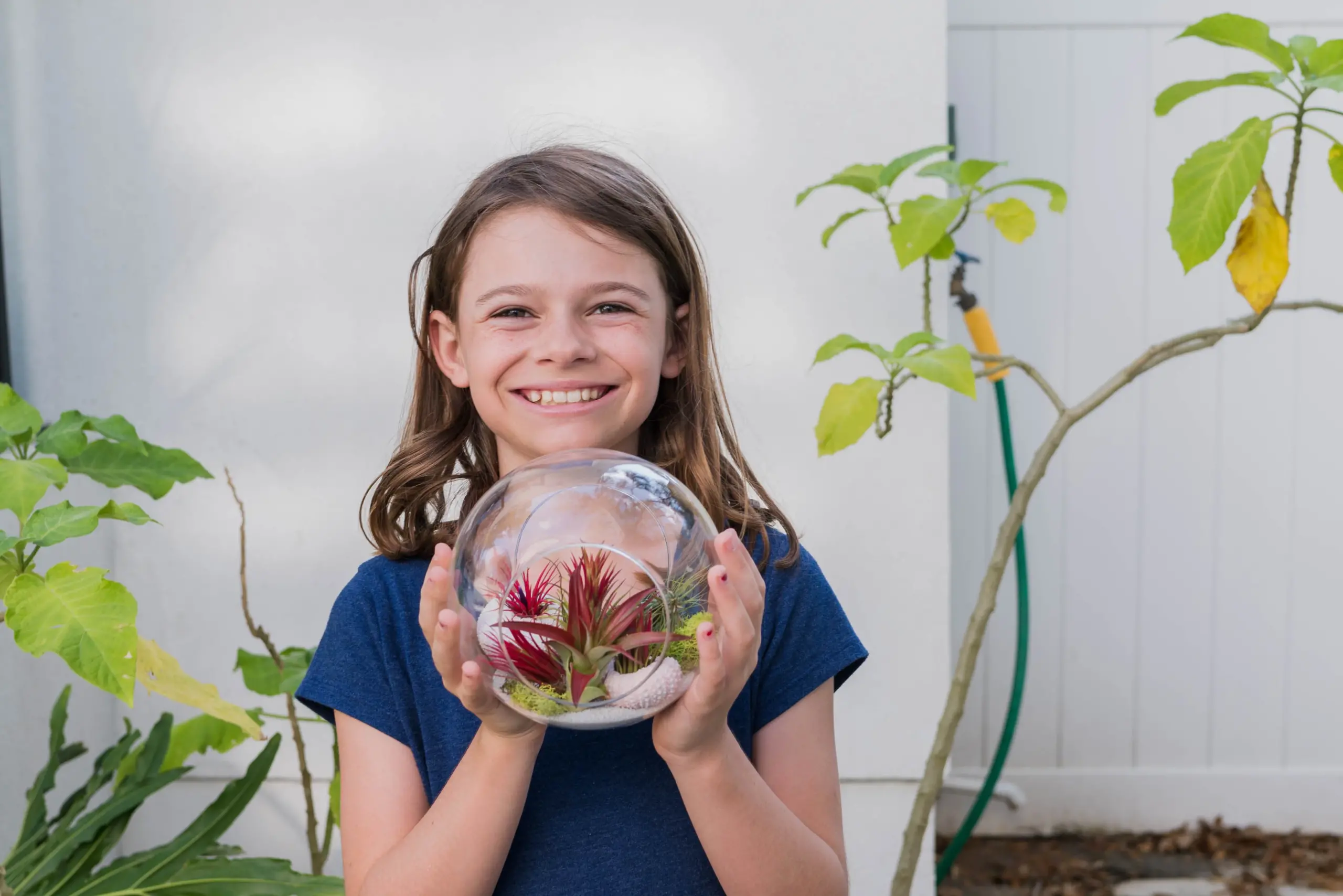 educational benefits of terrariums for children creating a terrarium