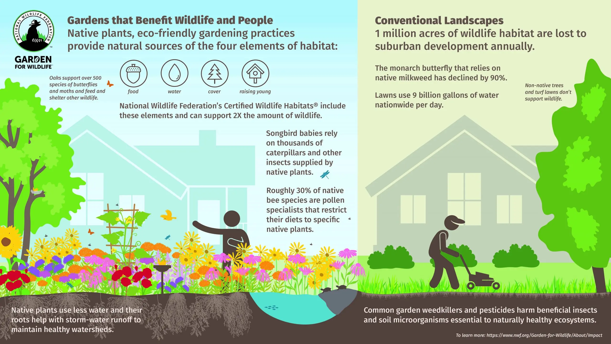 understanding the importance of wildlife-friendly gardens creating a garden