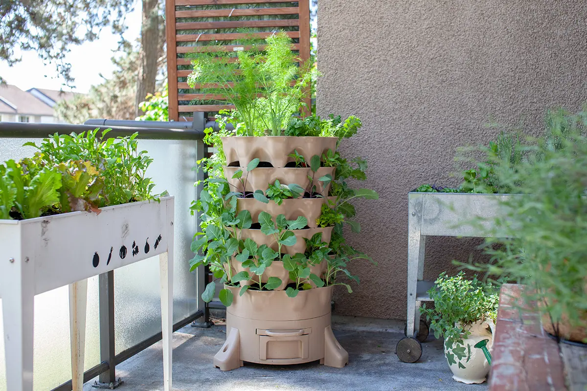 utilizing vertical space in the garden creating a wildlife-friendly