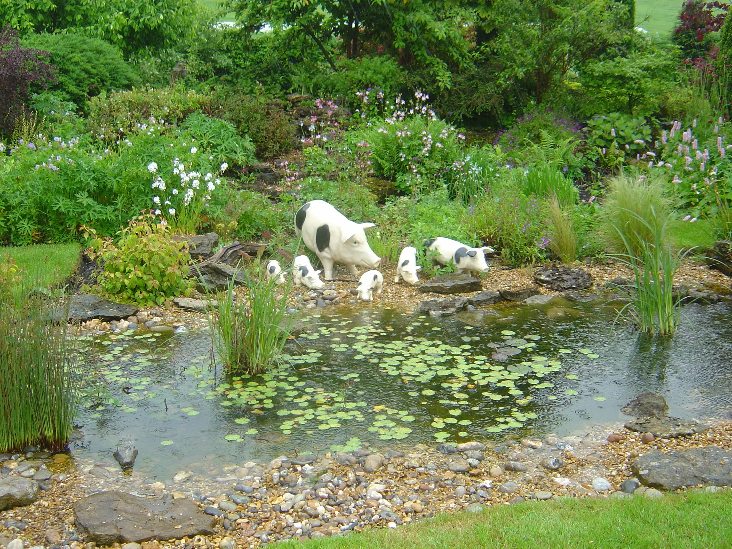 attracting specific wildlife types creating a wildlife-friendly garden