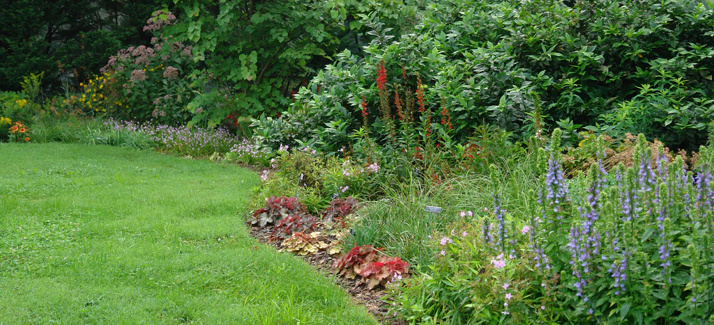 key elements of a wildlife habitat creating wildlife-friendly garden