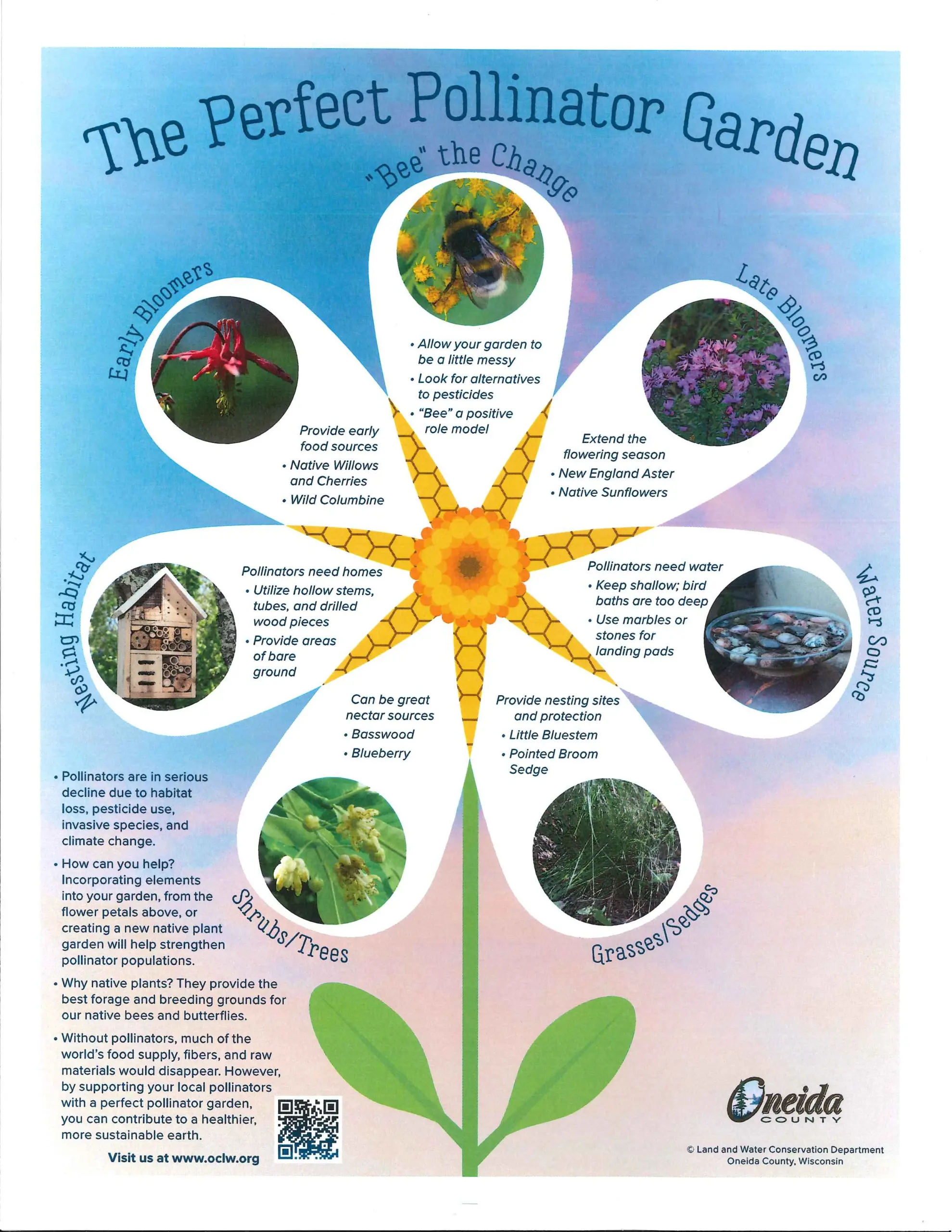 supporting pollinators in the garden creating a wildlife-friendly