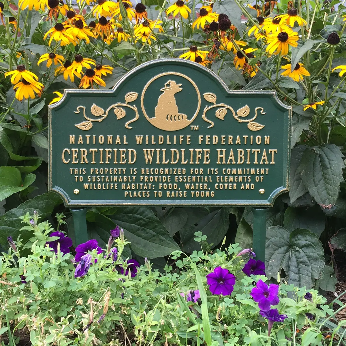 national wildlife federation certification process creating a wildlife-friendly garden