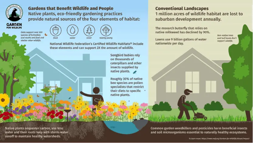 benefits of certification for homeowners creating a wildlife-friendly garden