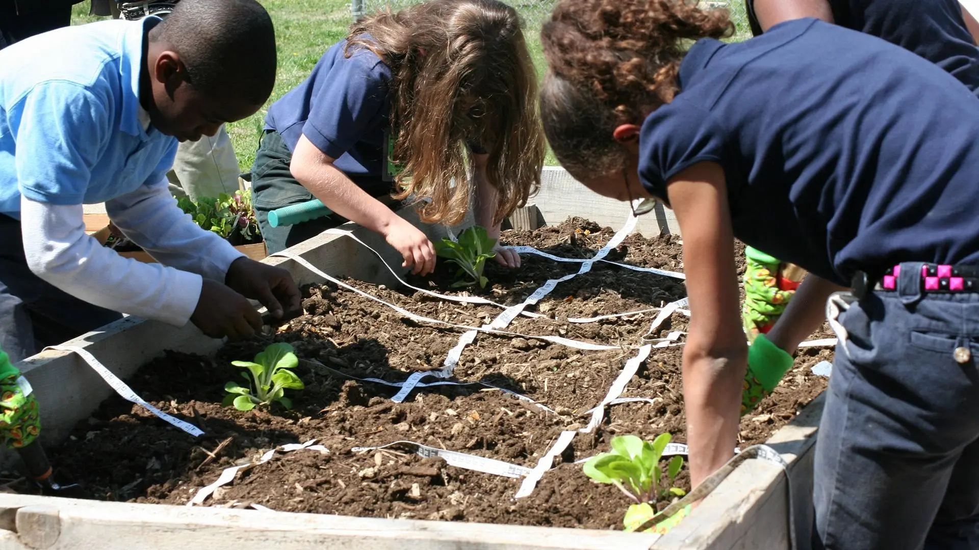 sustainable practices in gardening projects educational