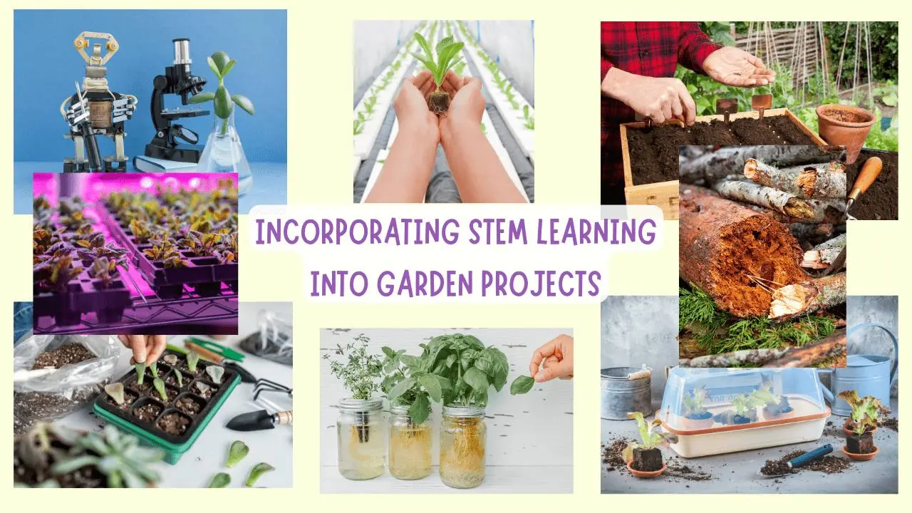 traditional vs. innovative gardening techniques educational projects