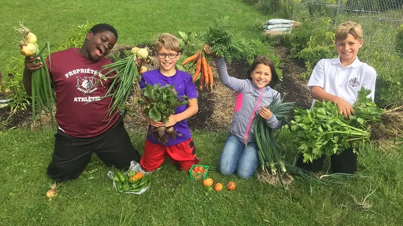 classroom gardens vs. community educational gardening projects