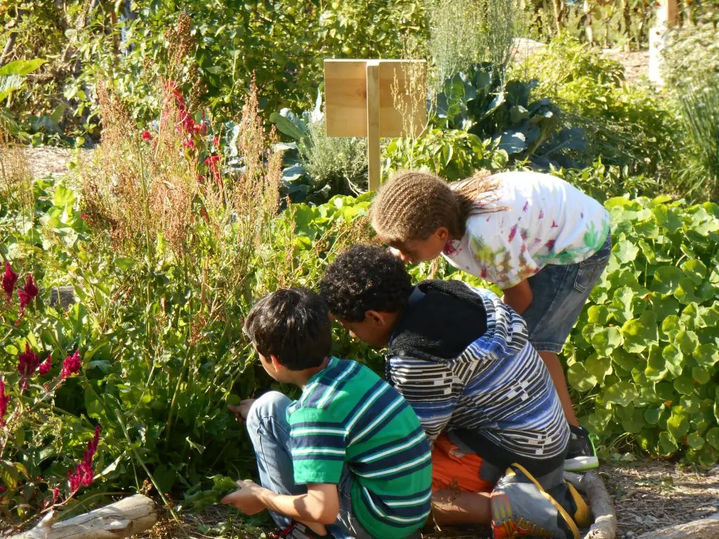 academic improvement through gardening educational projects