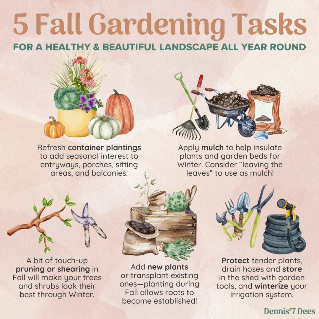 effective ways to remove weeds before winter fall gardening tasks