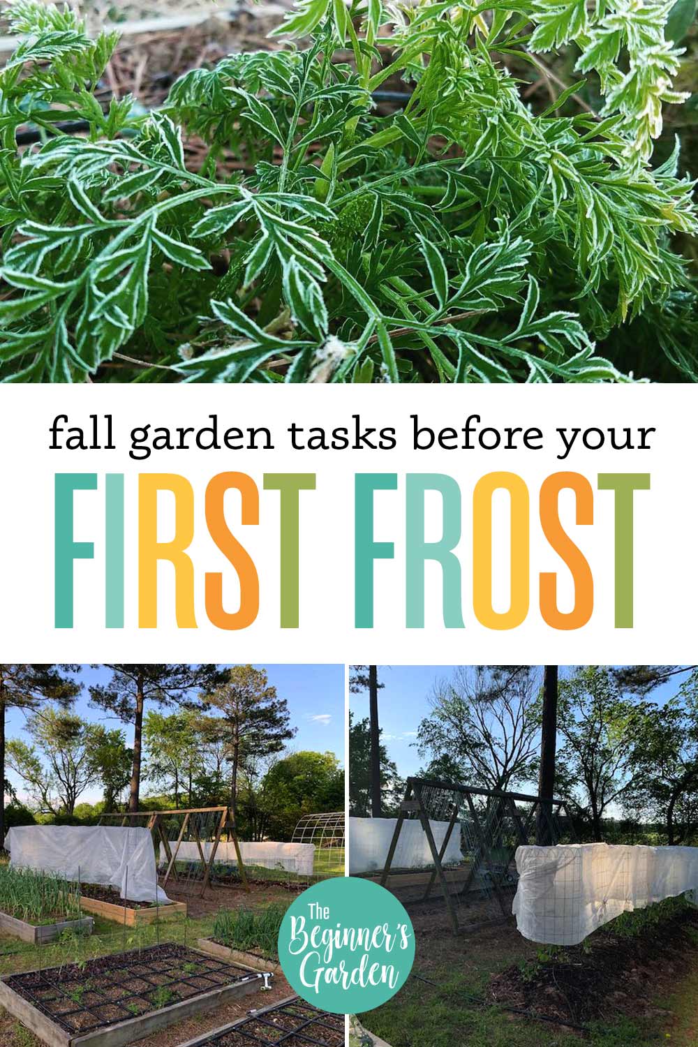 tips for covering crops during cold nights fall gardening tasks