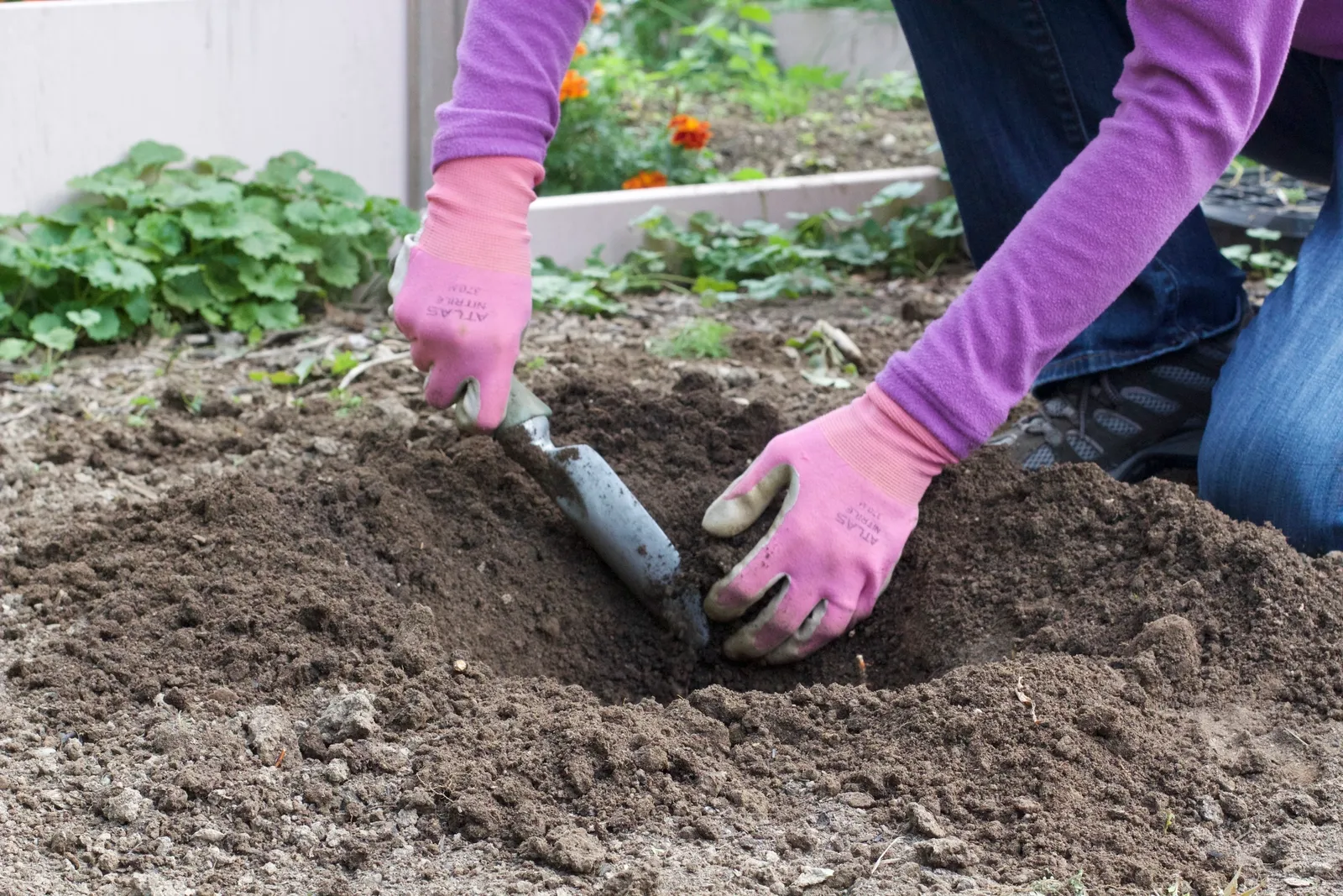 enhancing soil health in fall gardening tasks