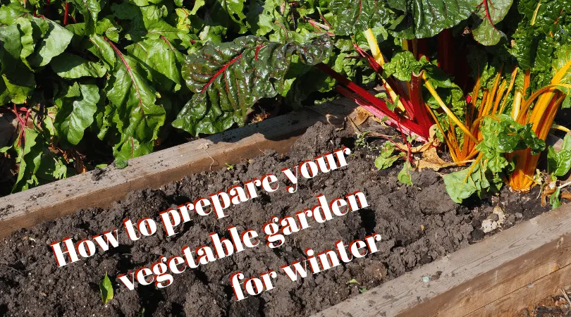 key tasks to winterize your garden fall gardening