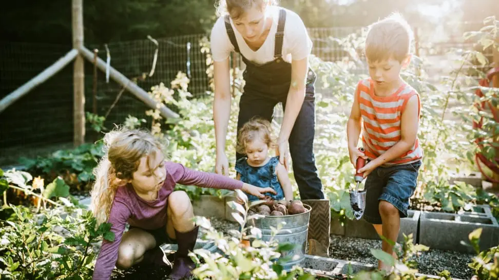 sustainable practices in family gardening garden projects