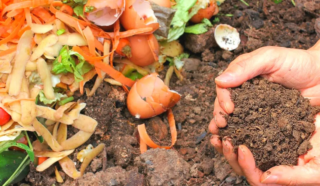 composting for a healthier garden family projects