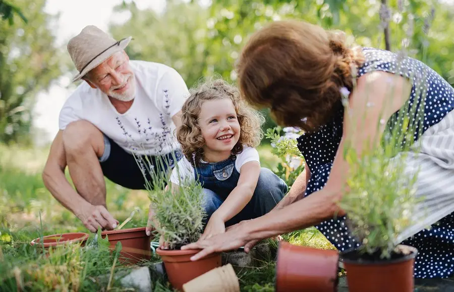 enhancing family bonding through gardening garden projects