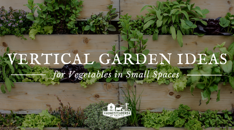 vertical gardening: maximizing space in family gardens garden projects