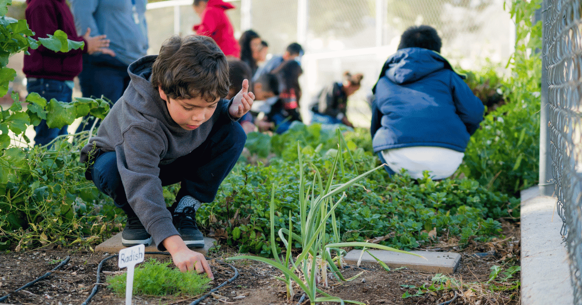 educational opportunities for children in gardening family garden projects