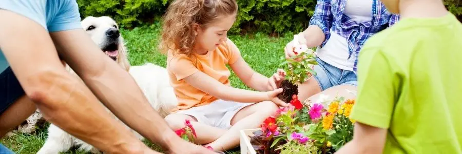 seasonal projects to keep families engaged in gardening family garden