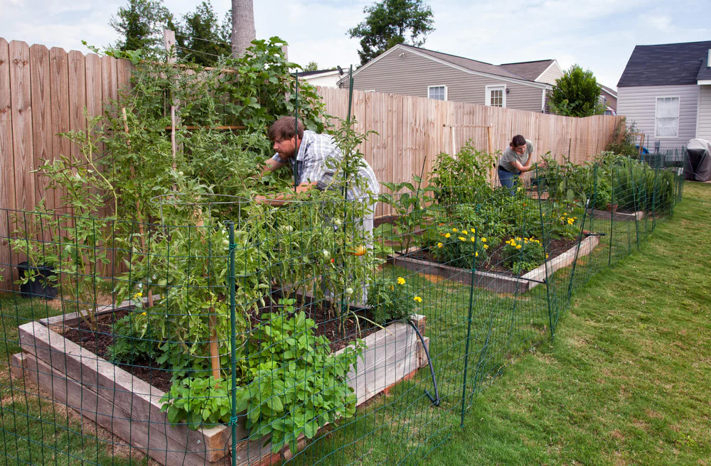 vegetable gardens for families family garden projects