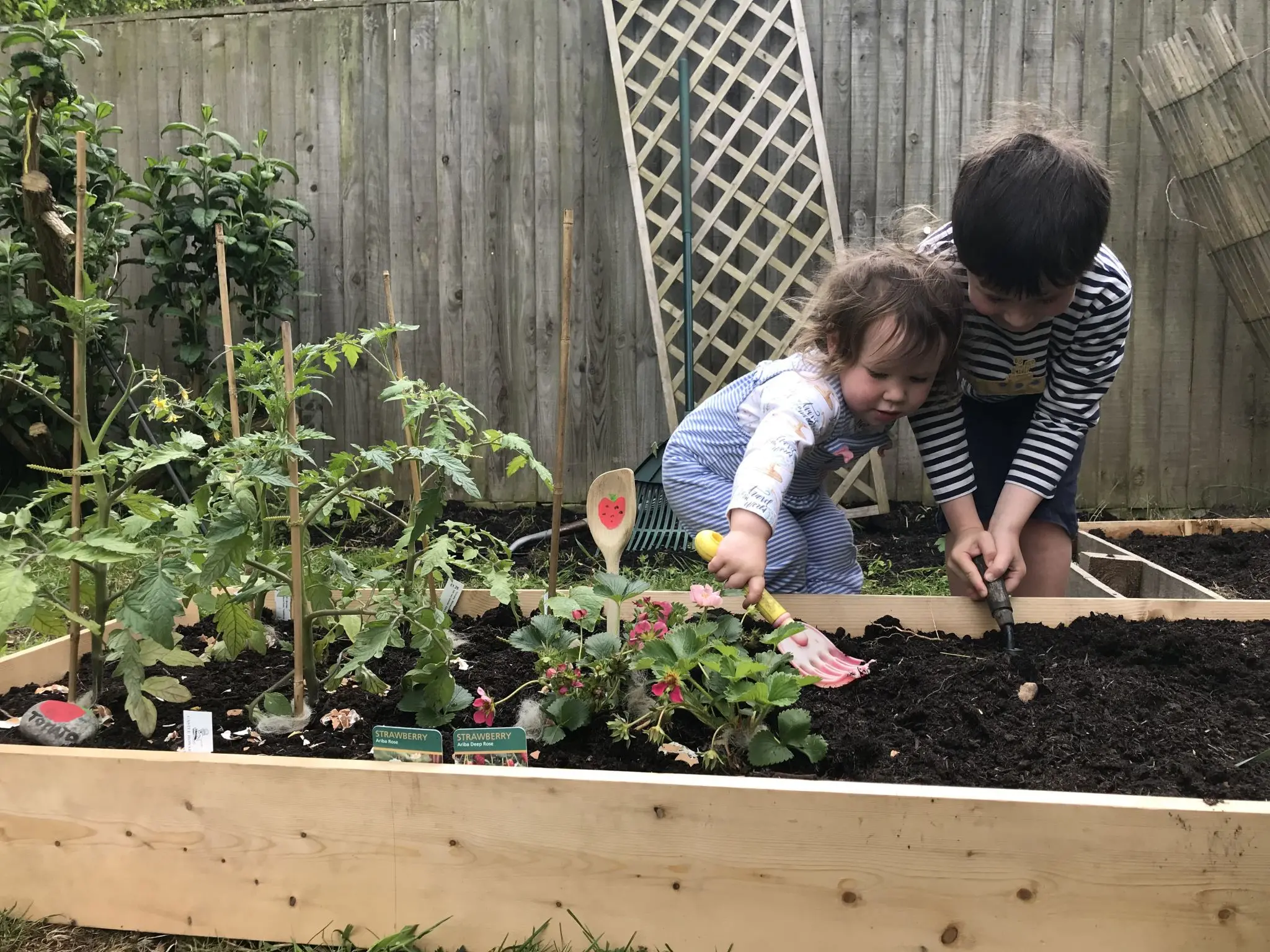 group gardening projects for children fun activities