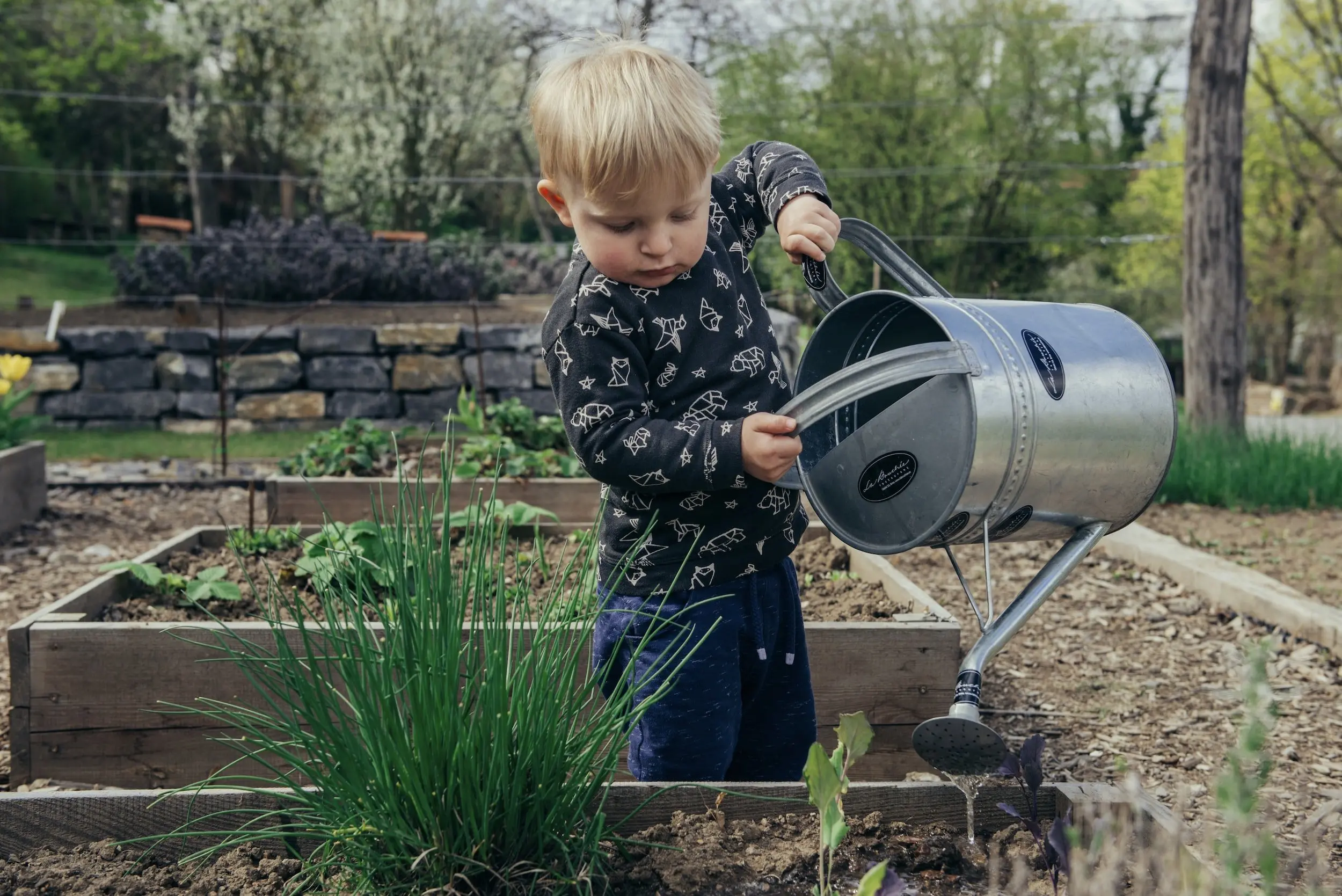 developing fine motor skills through gardening fun activities for children