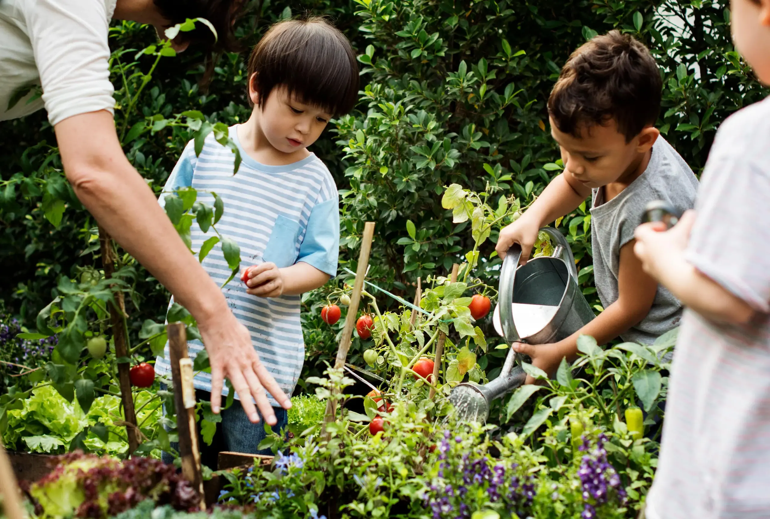 enhancing responsibility and patience in children fun gardening activities for