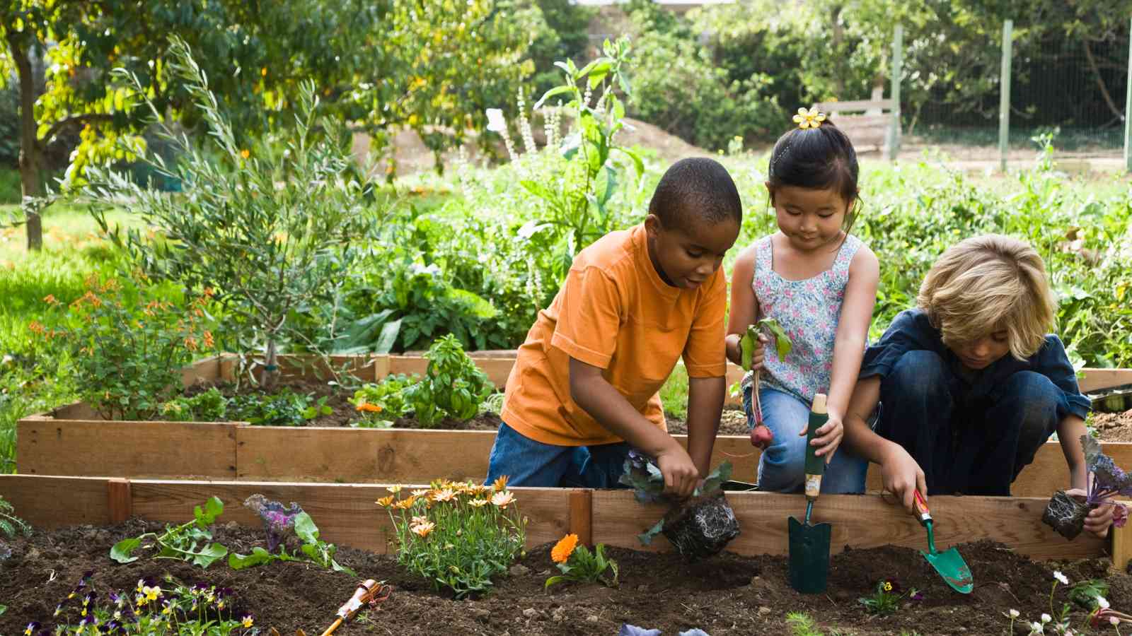 documenting garden progress with photography fun gardening activities for children