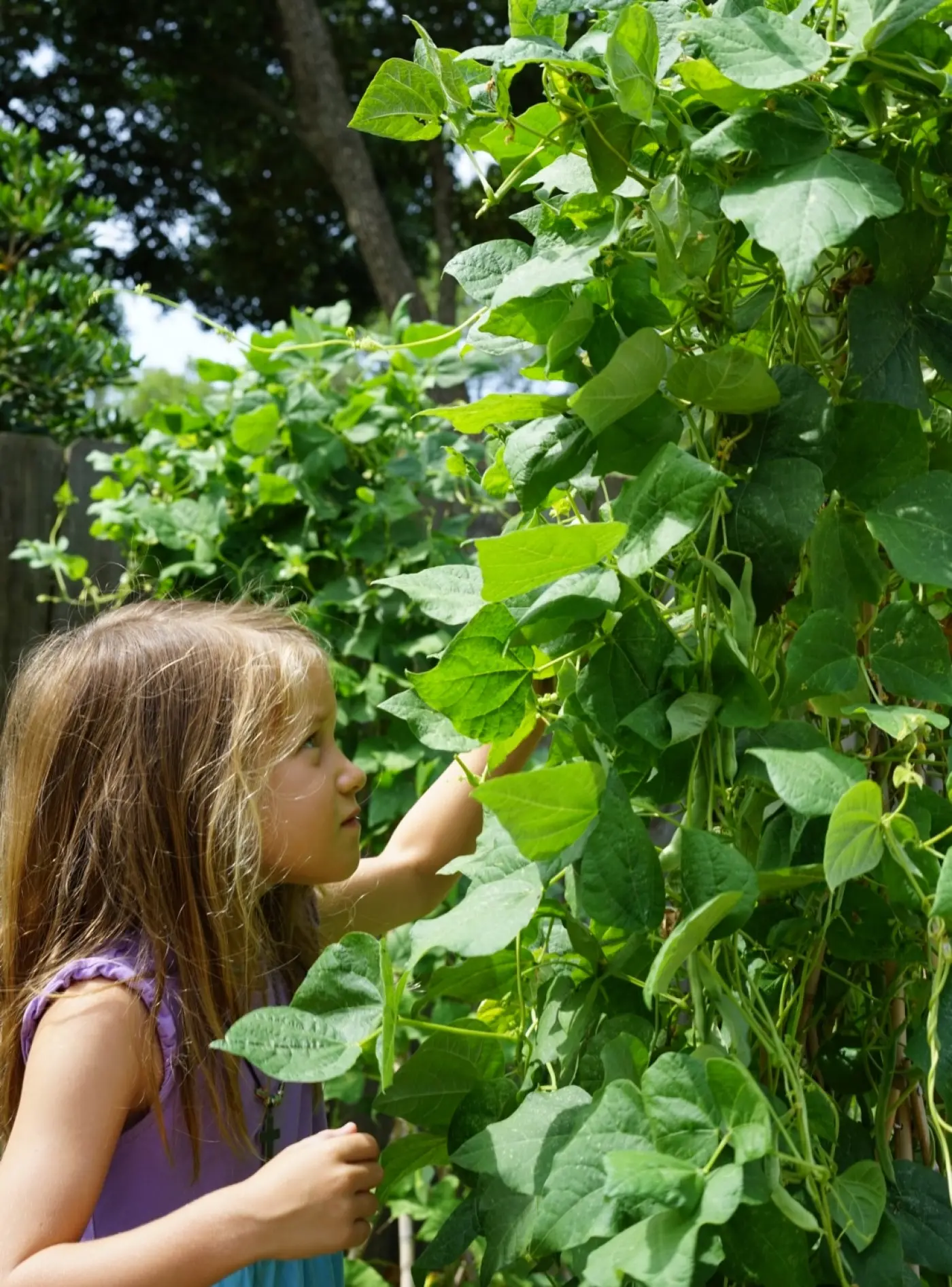 summer gardening activities for engagement fun children